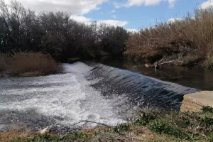 Acequia